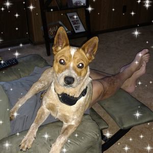 Meet your Posher, Becky